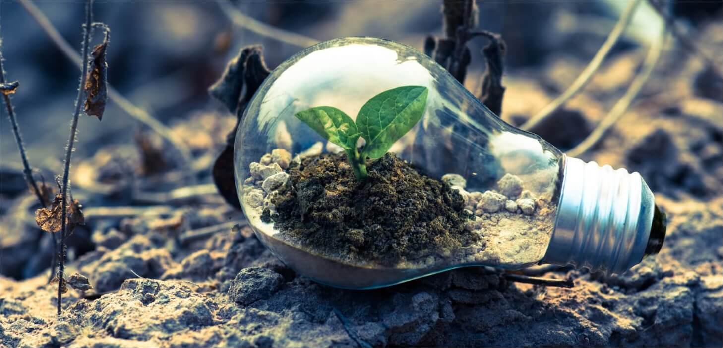 Lâmpada com semente crescendo